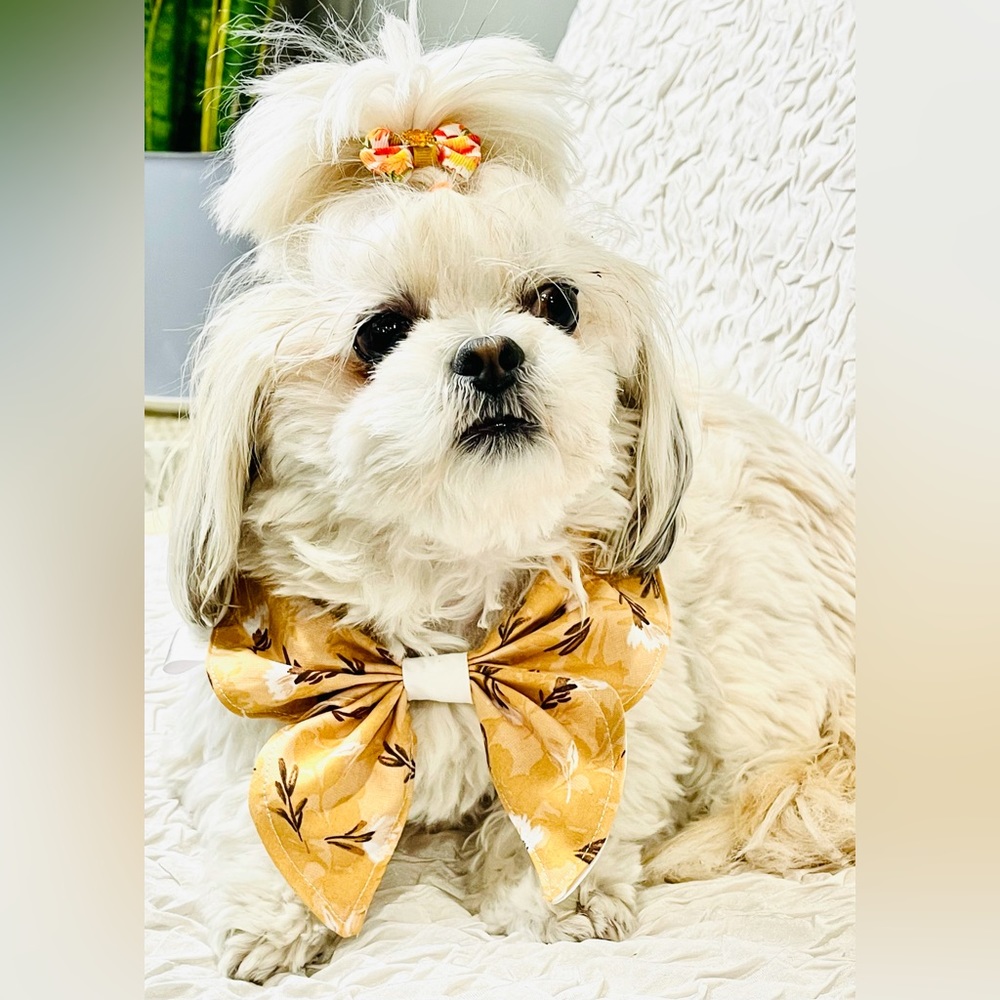 Dog Bandanas,Handmade,fall New collection XS-S-M-L
